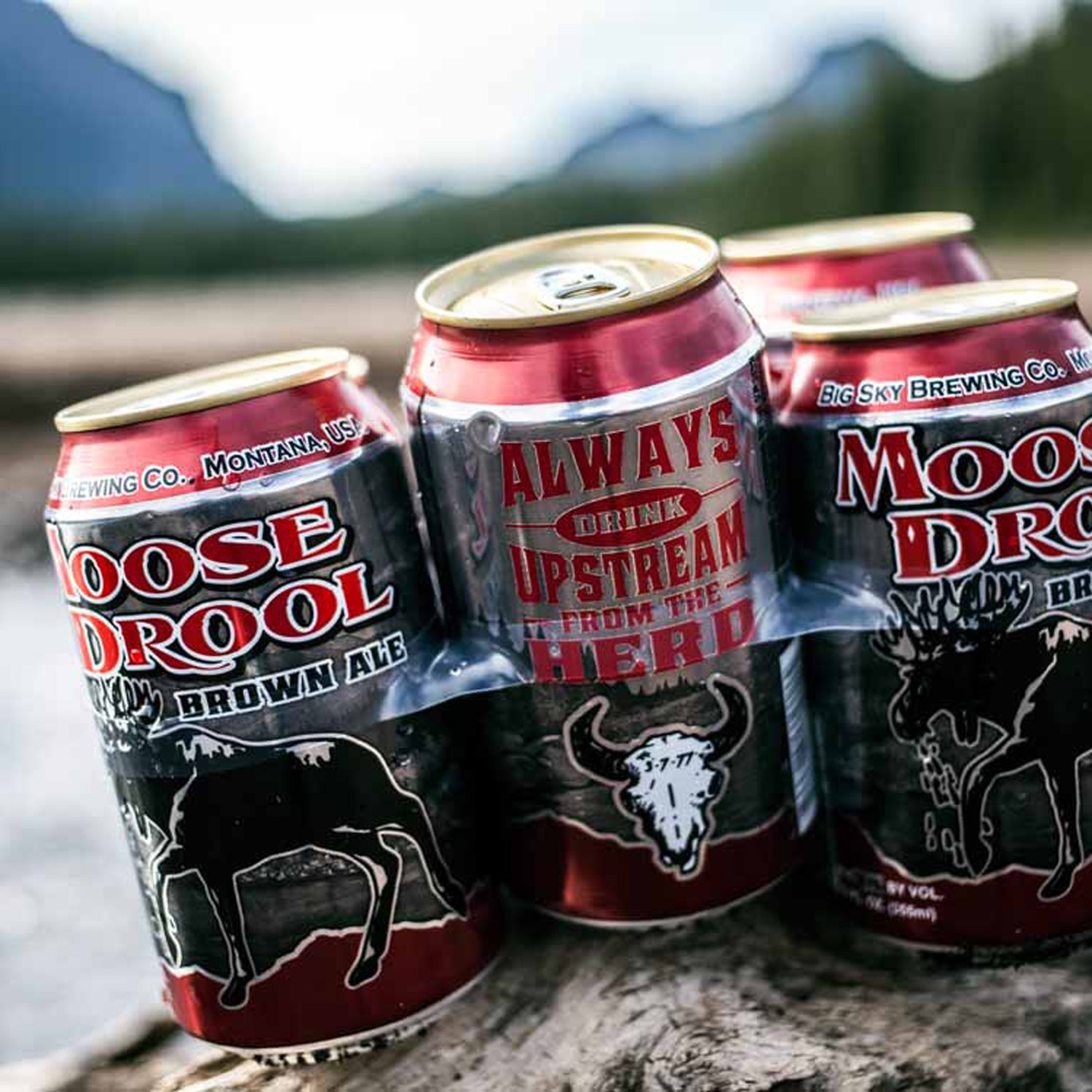 big sky brewing moose drool brown ale outside canned beer skiing winter