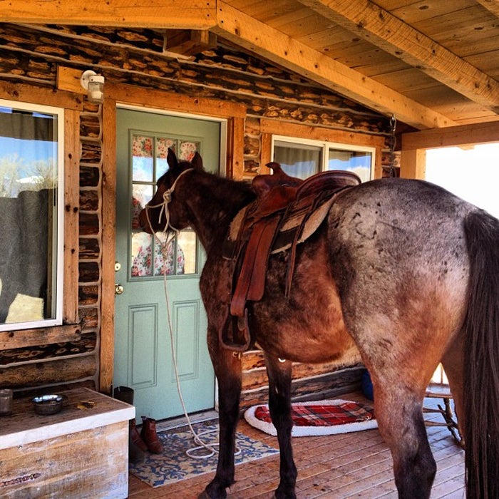 ϳԹCabins Photography tiny houses outside online