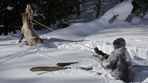 1 Person Altai Mountains Chasse Climatologie Climatology Color Photography Colour Couleur Day Ext�eur Exterior Fear Hiver Hunting Kazakhs Mongols Neige processed Sin Kiang Ski Skiing Snow Winter
