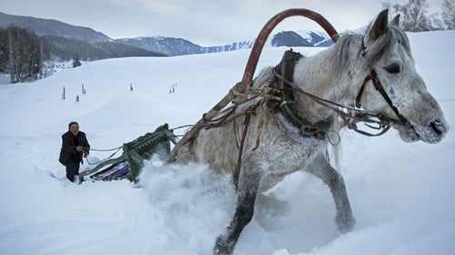 1 Person Agriculture Blue Charrue Cheval Color Photography Colour Couleur Day Ext�eur Exterior Forced perspective Hiver Horse Kazakhs Landscape Luge Mongols Neige Paysage Plough processed Scenic Sin Kiang Ski Sledge Snow Types of snow Winter