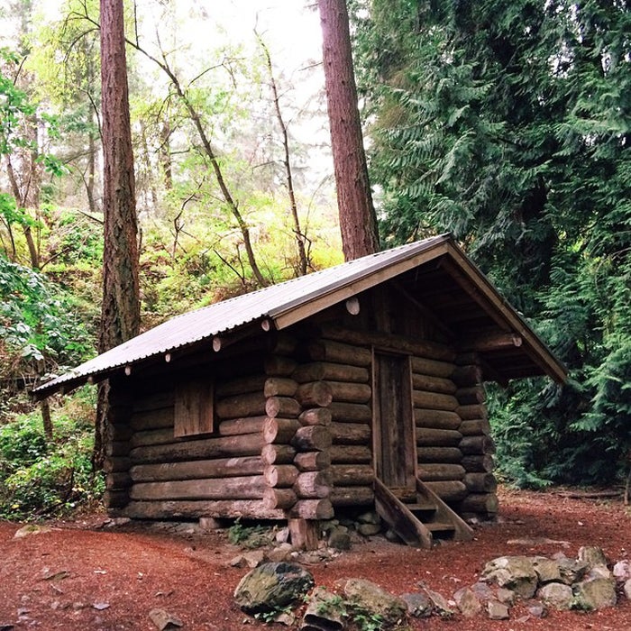 ϳԹCabins Photography tiny houses outside online