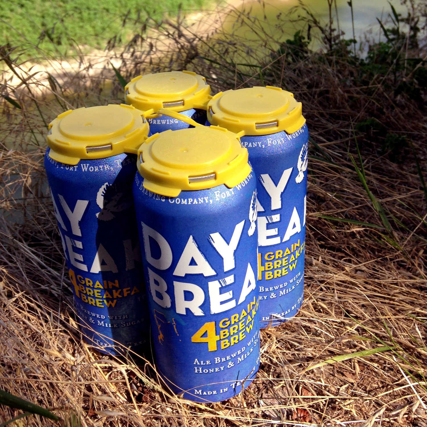 martin house brewing day break canned beer outside