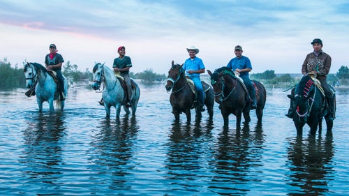Drought Mexico Water desert farm pulse flow restoration river