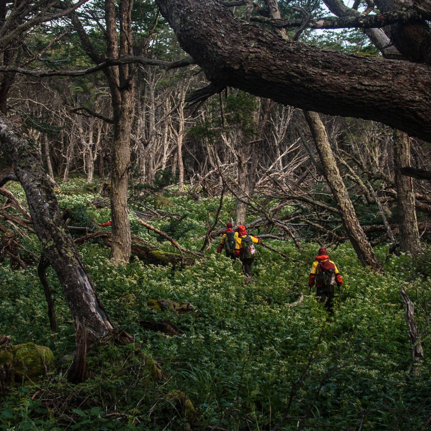 Patagonian patagonian expedition race deadliest races running