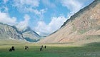 Mongolian horsemen in the Altai Mountains.