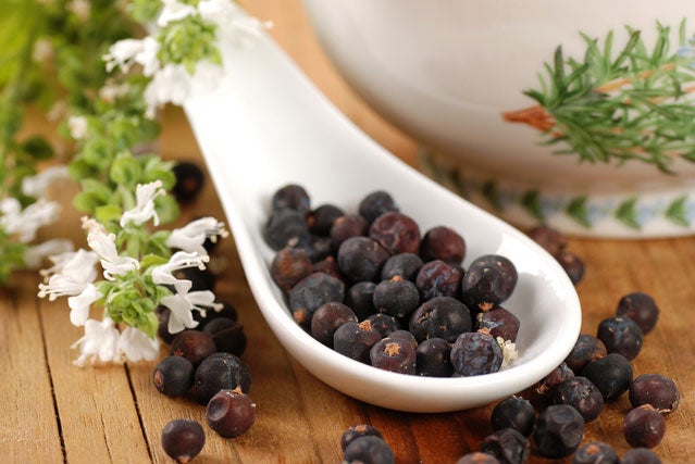 Foraged Flavor: All About Juniper