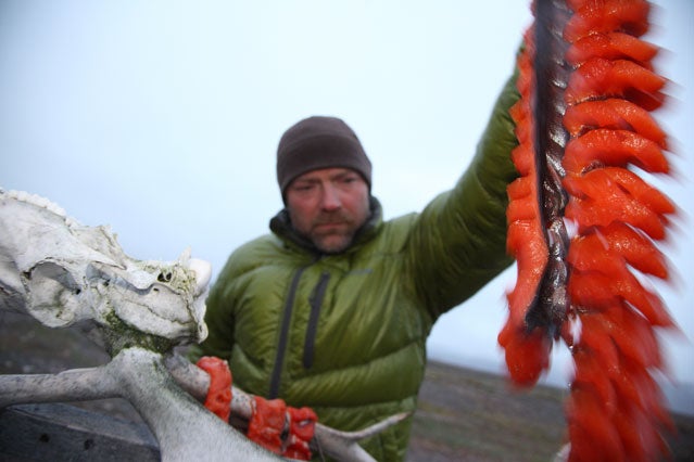 Les Stroud on Eating for Survival