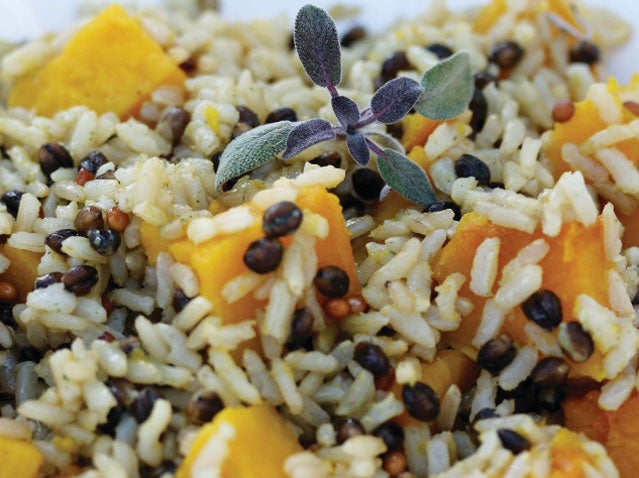 Squash and wild rice