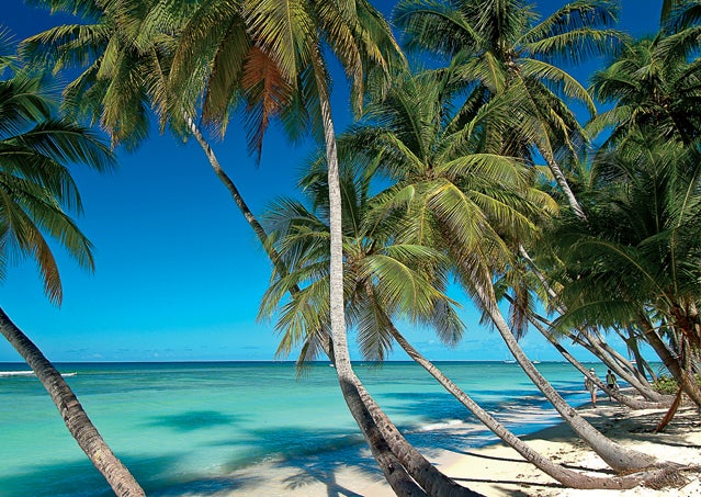 tobago islands tropical