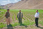 A potato farmer being interviewed at one of his fields in Bamyan Province. Potatoes have become the main cash crop for the province, contributing millions of dollars to its economy every year.