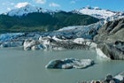 Alaska's Mendenhall Glacier in May 2007.