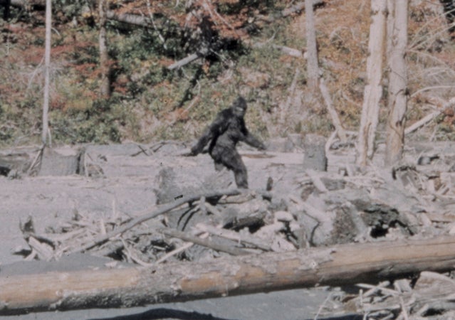 Is Bigfoot Real? - The Atlantic