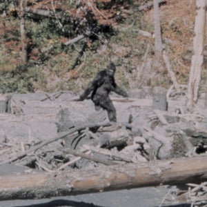 Frame 352 from the original Patterson-Gimlin film.