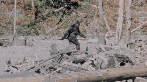 Frame 352 from the original Patterson-Gimlin film.