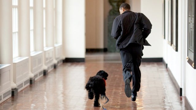 Barack and Bo Obama.