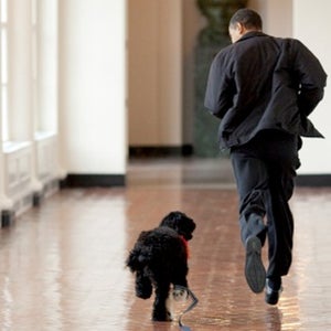 Barack and Bo Obama.