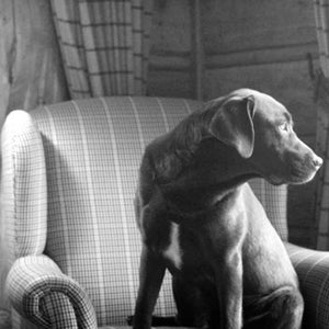 Sit down for a while.