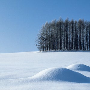 Mountains out of mole hills: skiing's unlikely new business model.