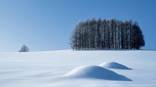 Mountains out of mole hills: skiing's unlikely new business model.