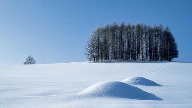 The Unlikely Success of Missouri's Hidden Valley Ski Mountain
