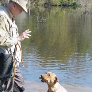 Mike Stewart holds the dog's eyes while the dog practices a hold.