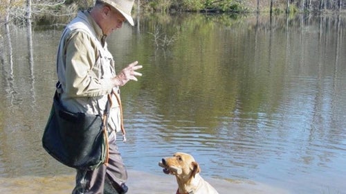 Mike Stewart holds the dog's eyes while the dog practices a hold.
