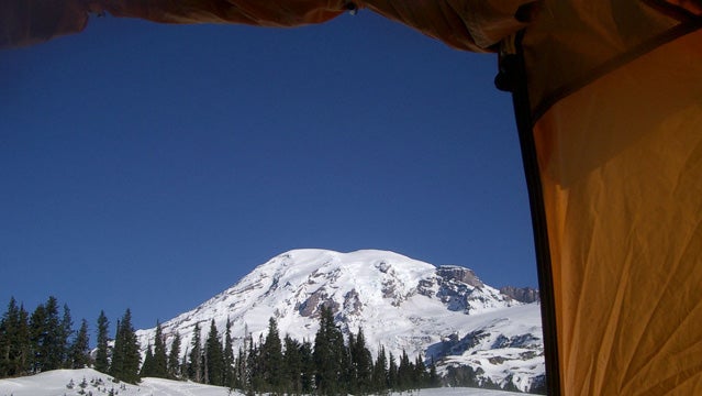 A view of Rainier from a tent.