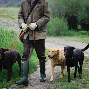 The author with some dogs he's training.