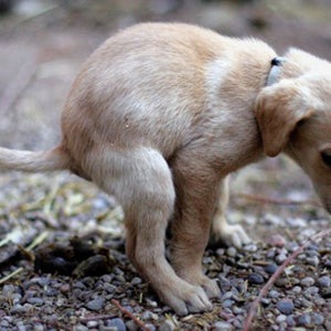 A little privacy, please?