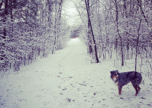 Get Me Out of Here: First Snow