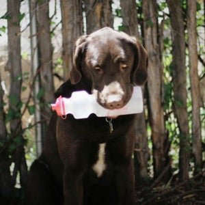 Danger with the object of his torment.
