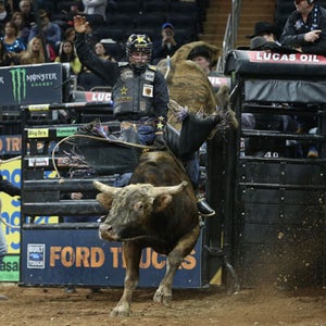 Stormy Wing Slippery Devil PBR professional bull riding monster energy invitation American sports
