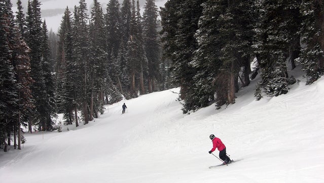 A groomed run at Alta.