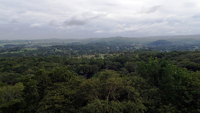 Belizean landscape.