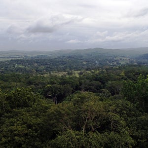 Belizean landscape.