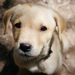 Cooper's eyes haven't fully developed yet, but the intention is there.