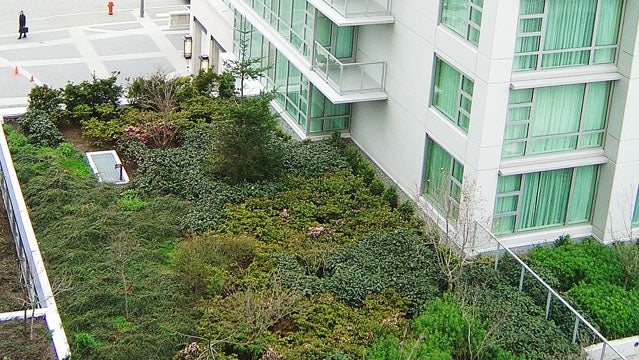 An example of a green roof in Victoria, British Columbia.