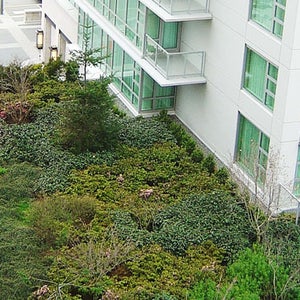An example of a green roof in Victoria, British Columbia.