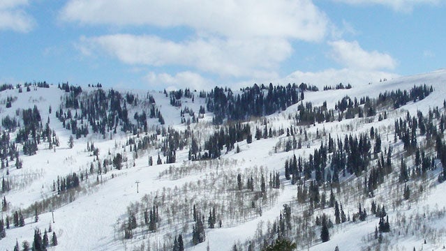 powder mountain utah snowcat ski resorts