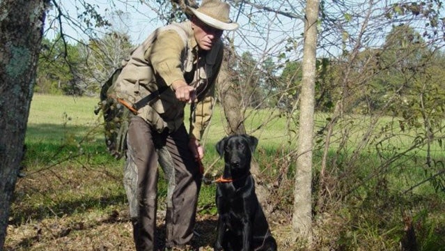 Waiting patiently for the retrieve.