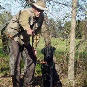 Waiting patiently for the retrieve.