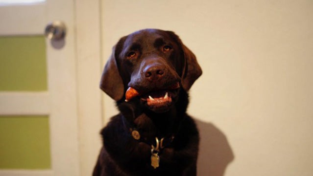 All right, wise guy, you gonna let me eat this sausage, or what?