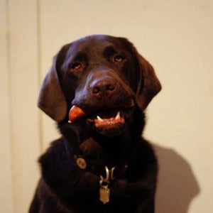 All right, wise guy, you gonna let me eat this sausage, or what?