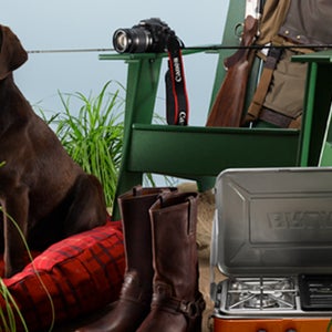 The offending picture.