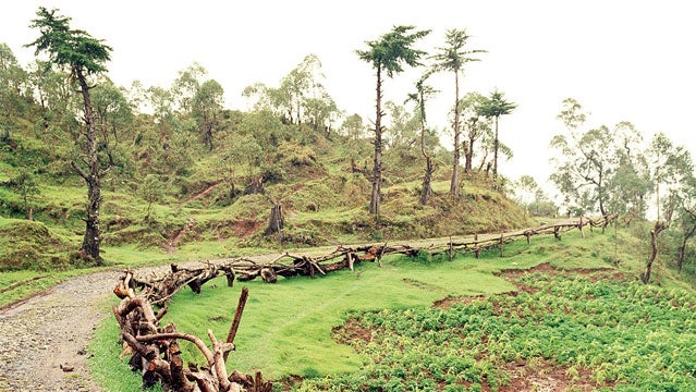 east timor outside travel awards maubisse