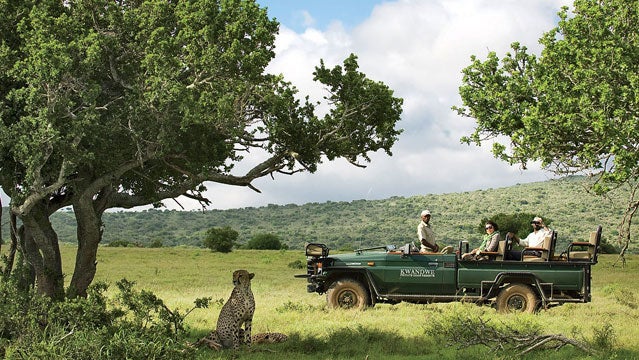 Game Drive Kwandwe Private Game Reserve South Africa Wildlife dook kwandwe_DSC2510.tif
