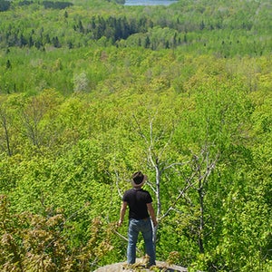 Wisconsin's Penokee Hills.