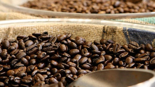 Coffee Beans