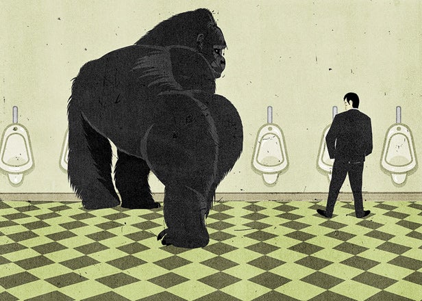 Why Do Gorillas Have Such Small Genitals?