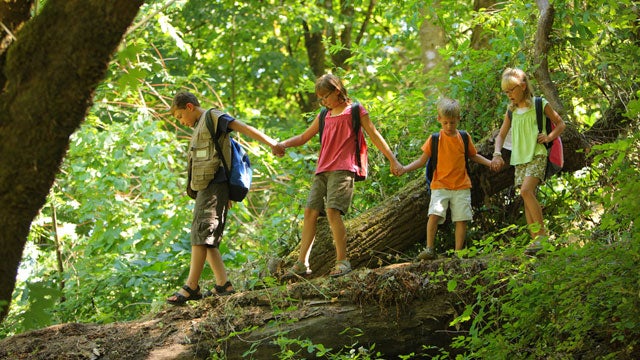 The Summer Camp Conundrum